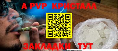 прущие грибы Пугачёв