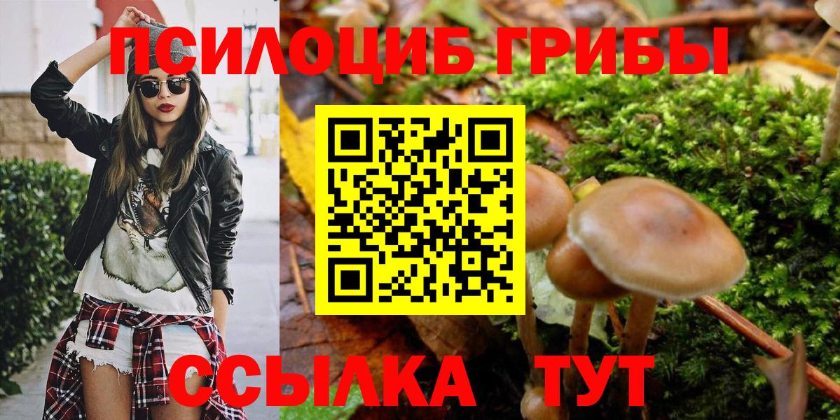 Псилоцибиновые грибы прущие грибы  Псилоцибиновые грибы мицелий  Ртищево  Вход с VPN 