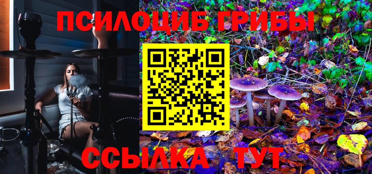 Галлюциногенные грибы Psilocybine cubensis Ртищево