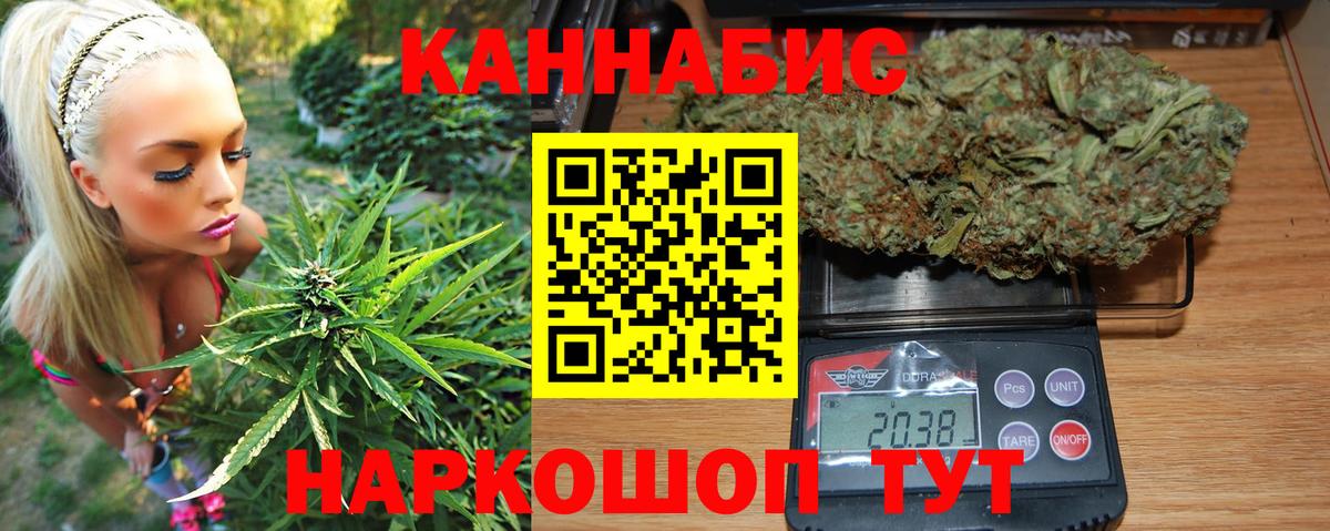 Канабис планчик Ртищево